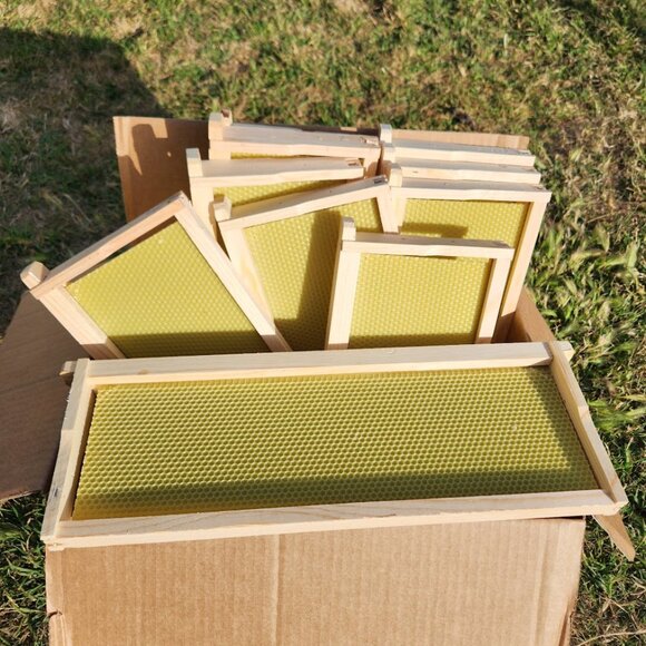 Beekeeping Equipment 10 Medium Frames + 10 Foundation ASSEMBLED For Super Boxes - Picture 6 of 8